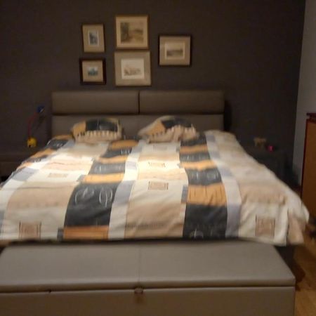 Luxe Appartement Met 3 Slaapkamers En 1 Kingsize Bed Slaapzetel En Drie Dubbelbedden Dendermonde Exterior foto
